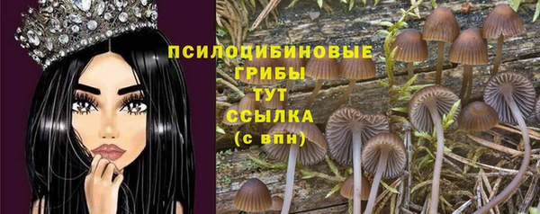 ECSTASY Волосово