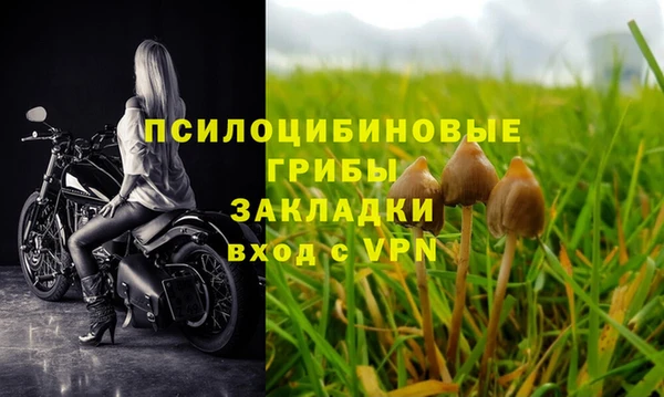 дживик Володарск