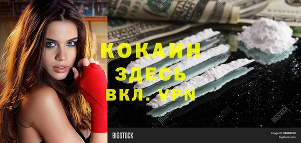 дживик Володарск