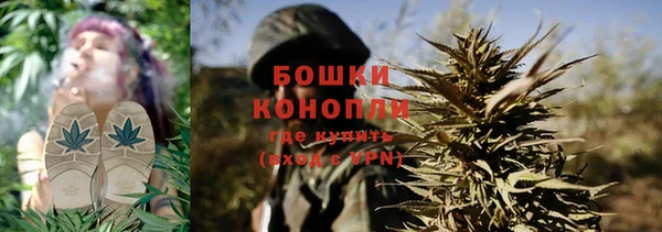 дживик Володарск