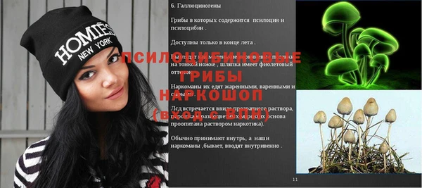 скорость Бородино