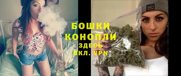 дживик Володарск