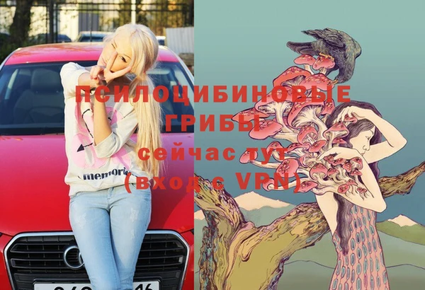 дживик Володарск