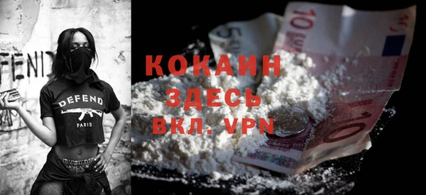 дживик Володарск