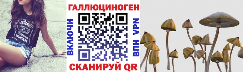 это телеграм Ишимбай Псилоцибиновые грибы мухоморы blacksprut ссылки